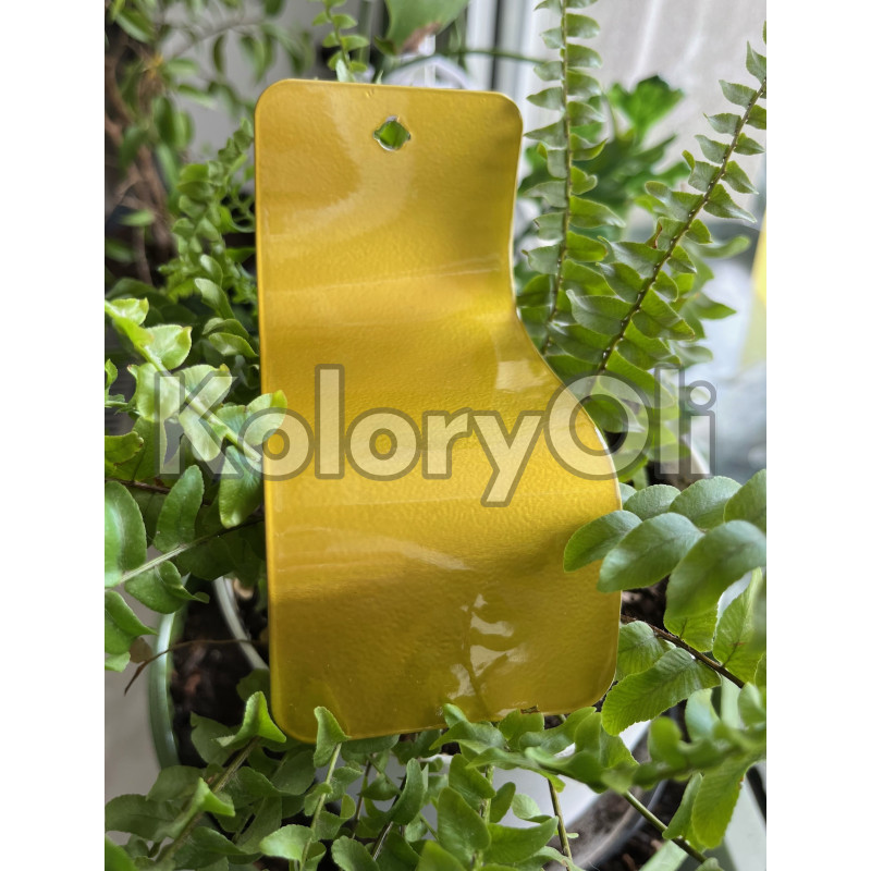 ZESTAW ILUZJI System Dwuwarstwowy Żółty KO-N0541 + + Transparent Bezbarwny KO-00080 ZESTAW ILUZJI System Dwuwarstwowy Żółty KO-N0541 + + Transparent Bezbarwny KO-00080