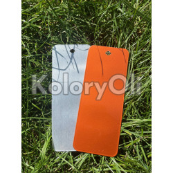 ZESTAW ILUZJI System Dwuwarstwowy Czerwono-Żółty Połysk KO-N0537+ Transparent Bezbarwny KO-00080 ZESTAW ILUZJI System Dwuwarstwowy Czerwono-Żółty Połysk KO-N0537+ Transparent Bezbarwny KO-00080