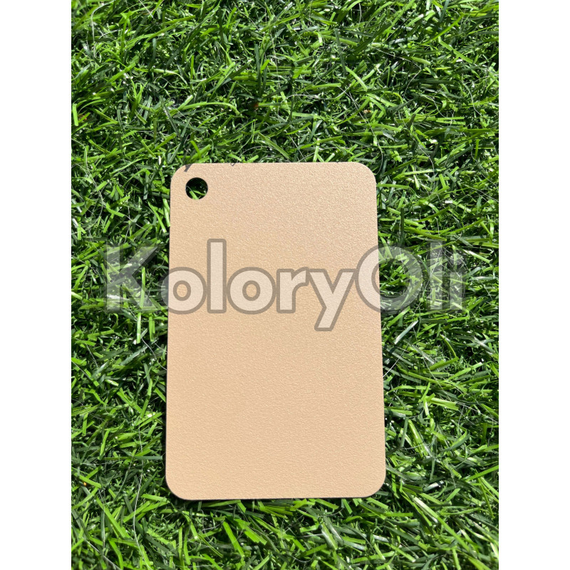 RAL 1019 Farba Proszkowa Poliestrowa Kolor Brązowy beżowy Gładki Półpołysk/Satyna KO-U030 RAL 1019 Farba Proszkowa Poliestrowa Kolor Brązowy beżowy Gładki Półpołysk/Satyna KO-U030