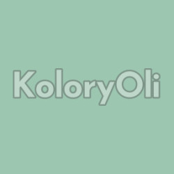 NCS S 2020-G Farba Proszkowa Epoksydowo-Poliestrowa Gładki Półpołysk KO-A00702-produkcja