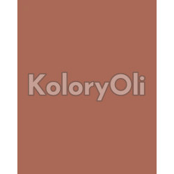 NCS S 4030-Y70R Farba Proszkowa Poliestrowa Drobna Struktura Mat (14-24%) KO-A00706 produkcja