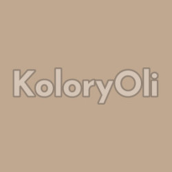NCS S 3010-Y40R Farba Proszkowa Poliestrowa Gładki Mat (25-35%) KO-A00711-PRODUKCJA