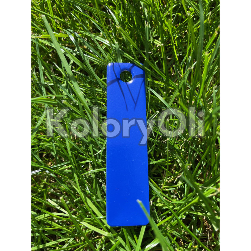 RAINIER BLUE Farba Proszkowa Poliestrowa Kolor Niebieski Połysk KO-PP1858 RAINIER BLUE Farba Proszkowa Poliestrowa Kolor Niebieski Połysk KO-PP1858