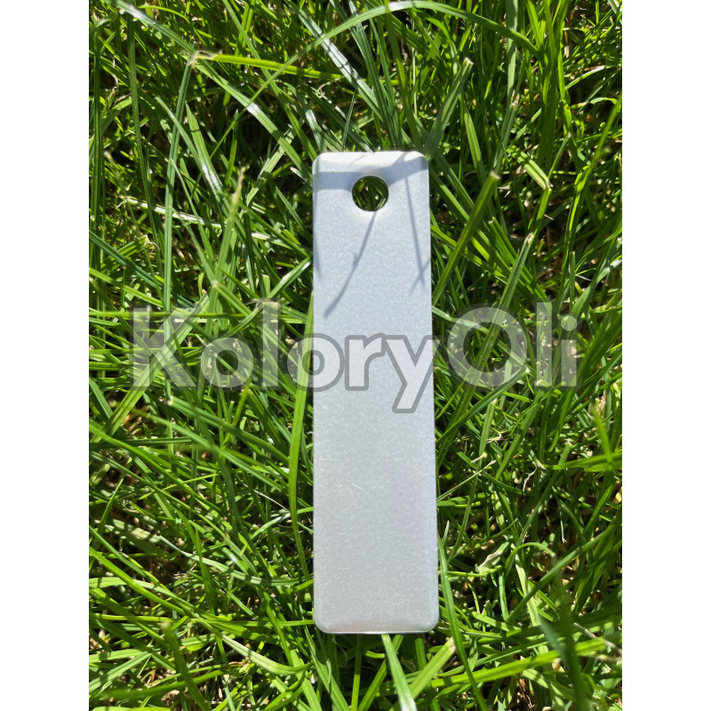 PORSCHE SILVER Farba Proszkowa Poliestrowa Kolor Srebrny Połysk KO-PP0054 PORSCHE SILVER Farba Proszkowa Poliestrowa Kolor Srebrny Połysk KO-PP0054