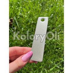 CHAMPAGNE Farba Proszkowa Poliestrowa Kolor Srebrny Satyna KO-PP1283 CHAMPAGNE Farba Proszkowa Poliestrowa Kolor Srebrny Satyna KO-PP1283