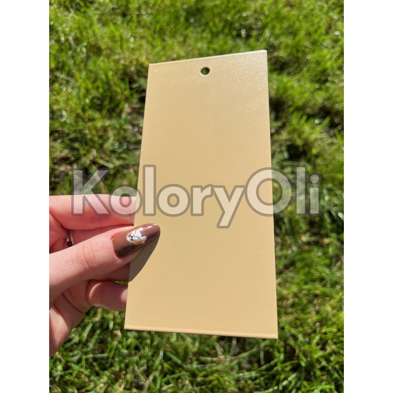 RAL 1001 Farba Proszkowa Poliestrowa Kolor Beżowy Gładki Mat KO-E012 RAL 1001 Farba Proszkowa Poliestrowa Kolor Beżowy Gładki Mat KO-E012