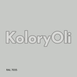 RAL 7035 Farba Proszkowa Poliestrowa Kolor Szary Gruba Struktura Połysk KO-H0011 RAL 7035 Farba Proszkowa Poliestrowa Kolor Szary Gruba Struktura Połysk KO-H0011