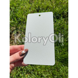 RAL 7035 Farba Proszkowa Poliestrowa Kolor Szary Gruba Struktura Połysk KO-H0011 RAL 7035 Farba Proszkowa Poliestrowa Kolor Szary Gruba Struktura Połysk KO-H0011