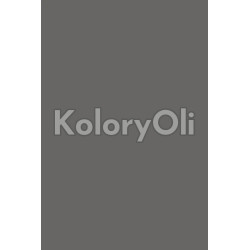 NCS S 7000-N Farba Proszkowa Poliestrowa Gładki Półmat KO-A00732 produkcja