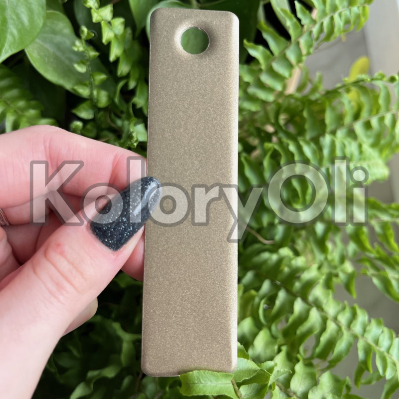 EDGEMONT GOLD Farba Proszkowa Poliestrowa Kolor Złoty Satyna KO-PP1102 EDGEMONT GOLD Farba Proszkowa Poliestrowa Kolor Złoty Satyna KO-PP1102