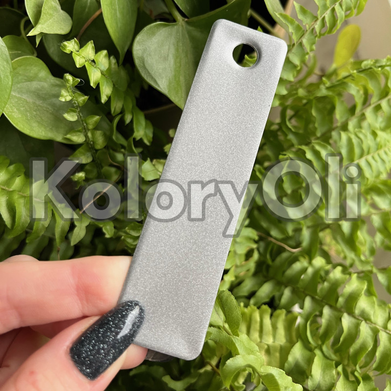 ALLOY SILVER Farba Proszkowa Poliestrowa Kolor Srebrny Półpołysk KO-PP0105 ALLOY SILVER Farba Proszkowa Poliestrowa Kolor Srebrny Półpołysk KO-PP0105