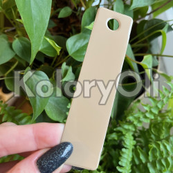 CARAMEL BEIGE Farba Proszkowa Poliestrowa Kolor Kremowy Półpołysk KO-PP1919 CARAMEL BEIGE Farba Proszkowa Poliestrowa Kolor Kremowy Półpołysk KO-PP1919