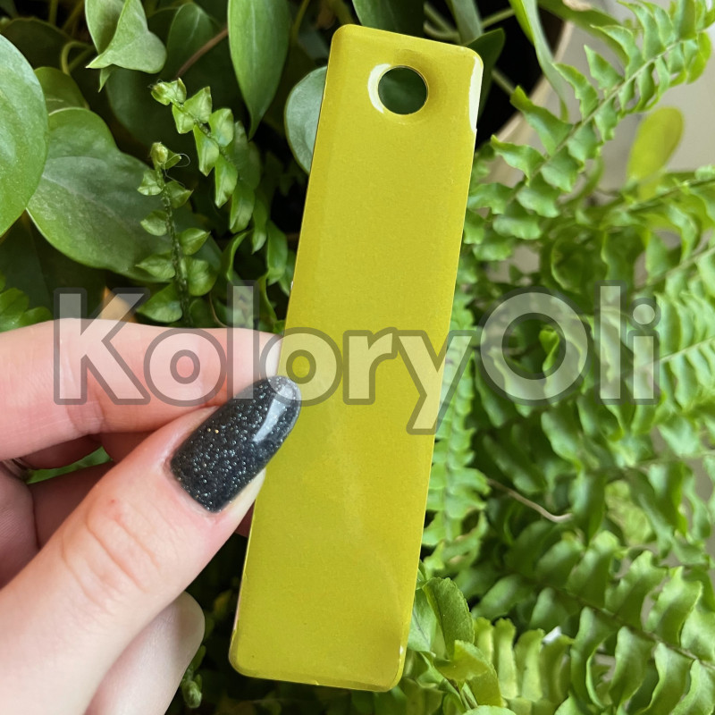 BULLFROG BELLY Farba Proszkowa Poliestrowa Kolor Zielony Połysk KO-PP2112 BULLFROG BELLY Farba Proszkowa Poliestrowa Kolor Zielony Połysk KO-PP2112