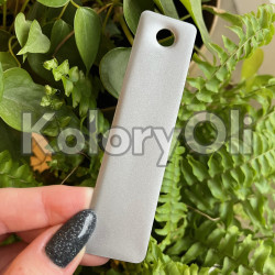 SATIN SILVER Farba Proszkowa Poliestrowa Kolor Srebrny Wysoki połysk KO-PP0327 SATIN SILVER Farba Proszkowa Poliestrowa Kolor Srebrny Wysoki połysk KO-PP0327