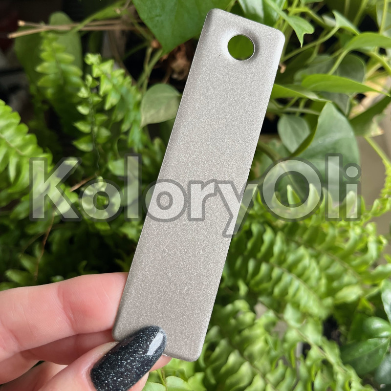 VEGAS GOLD Farba Proszkowa Poliuretanowa Kolor Srebrny Satyna KO-PP1068