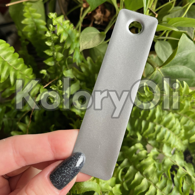 PORSCHE SILVER Farba Proszkowa Poliestrowa Kolor Srebrny Połysk KO-PP0054
