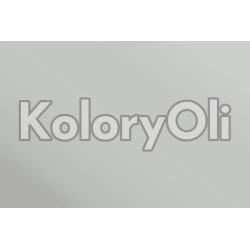 RAL 7035 QUALICOAT Farba Proszkowa Poliestrowa Kolor Szary Jasny Gładki Mat KO-L0116