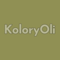 NCS S 4030-G70Y Farba Proszkowa Poliestrowa Gładki SuperPołysk KO-A00741-PRODUKCJA