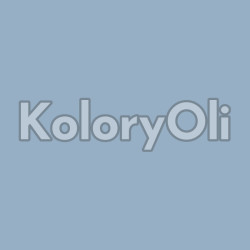RAL/D2 250 70 15 Farba Proszkowa Poliestrowa Gładki Połysk KO-A00743 - produkcja