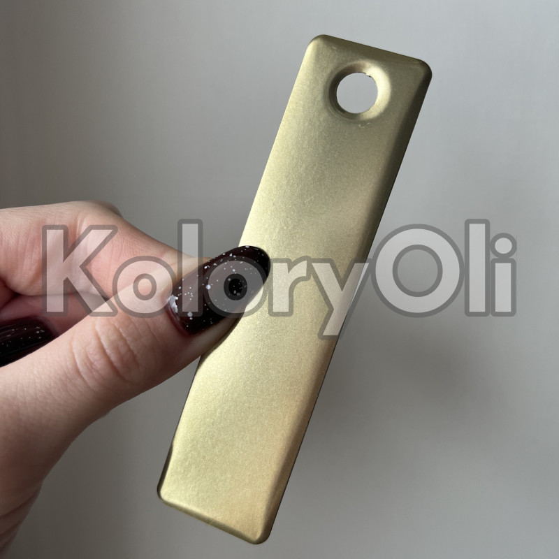 PROSECCO GOLD Farba Proszkowa Poliestrowa Kolor Złoty Wysoki połysk KO-PP1043 PROSECCO GOLD Farba Proszkowa Poliestrowa Kolor Złoty Wysoki połysk KO-PP1043