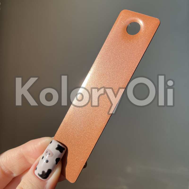 WET COPPER LIPSTICK Farba Proszkowa Poliestrowa Kolor Brązowy Połysk KO-PP3854 WET COPPER LIPSTICK Farba Proszkowa Poliestrowa Kolor Brązowy Połysk KO-PP3854