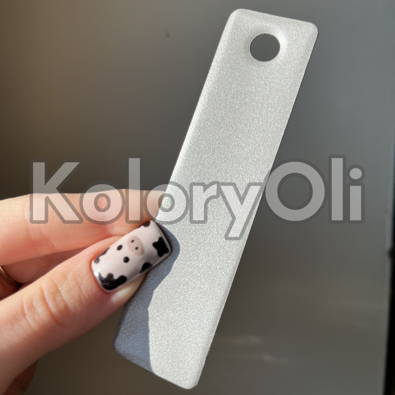 WEEPING SILVER Farba Proszkowa Poliuretanowa Kolor Srebrny Mat KO-PP0737