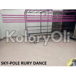 RAL 4006 Farba Proszkowa Poliestrowa Kolor Purpurowy Drogowy Gładki Połysk KO-B011 RAL 4006 Farba Proszkowa Poliestrowa Kolor Purpurowy Drogowy Gładki Połysk KO-B011
