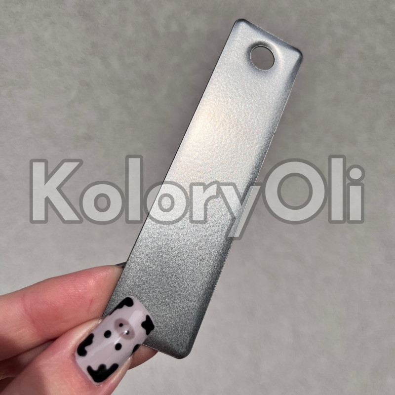 WAY BLACK Farba Proszkowa Poliestrowa Kolor Srebrny Półpołysk KO-PP0611 WAY BLACK Farba Proszkowa Poliestrowa Kolor Srebrny Półpołysk KO-PP0611
