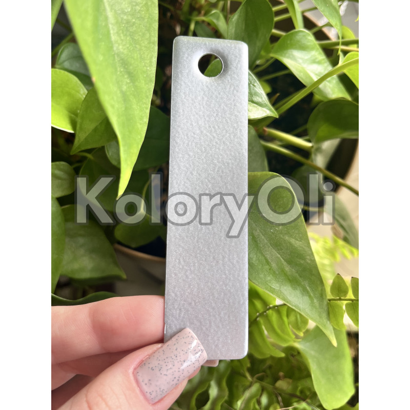 BMW SILVER Farba Proszkowa Poliestrowa Kolor Srebrny Półpołysk KO-PP0048 BMW SILVER Farba Proszkowa Poliestrowa Kolor Srebrny Półpołysk KO-PP0048
