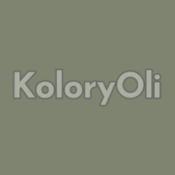 NCS S 5010-G50Y Farba Proszkowa Poliestrowa Gładki Półmat KO-A00754 produkcja
