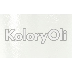 RAL 9003 Farba Proszkowa Poliestrowa Kolor Biały Sygnałowy Gruba Struktura KO-W0106 RAL 9003 Farba Proszkowa Poliestrowa Kolor Biały Sygnałowy Gruba Struktura KO-W0106