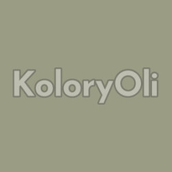 NCS S 4010-G70Y Farba Proszkowa Epoksydowo-Poliestrowa Drobna struktura mat KO-A00757-produkcja