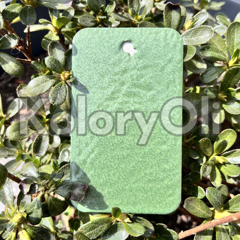 ZIELONY MŁOTKOWY Farba Proszkowa Poliestrowa Połysk KO-N0575- SPRZEDAŻ HURTOWA ZIELONY MŁOTKOWY Farba Proszkowa Poliestrowa Połysk KO-N0575- SPRZEDAŻ HURTOWA