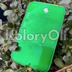 Transparent Zielony Farba Proszkowa Poliestrowa Wysoki Połysk KO-N0001 Transparent Zielony Farba Proszkowa Poliestrowa Wysoki Połysk KO-N0001