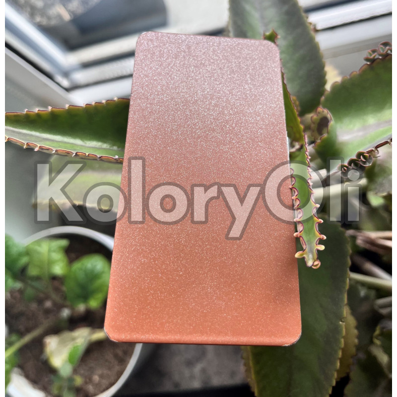 RAL EFFECT/E3 330-M METALIK Farba Proszkowa Poliestrowa Gładki Mat KO-A00522- produkcja RAL EFFECT/E3 330-M METALIK Farba Proszkowa Poliestrowa Gładki Mat KO-A00522- produkcja