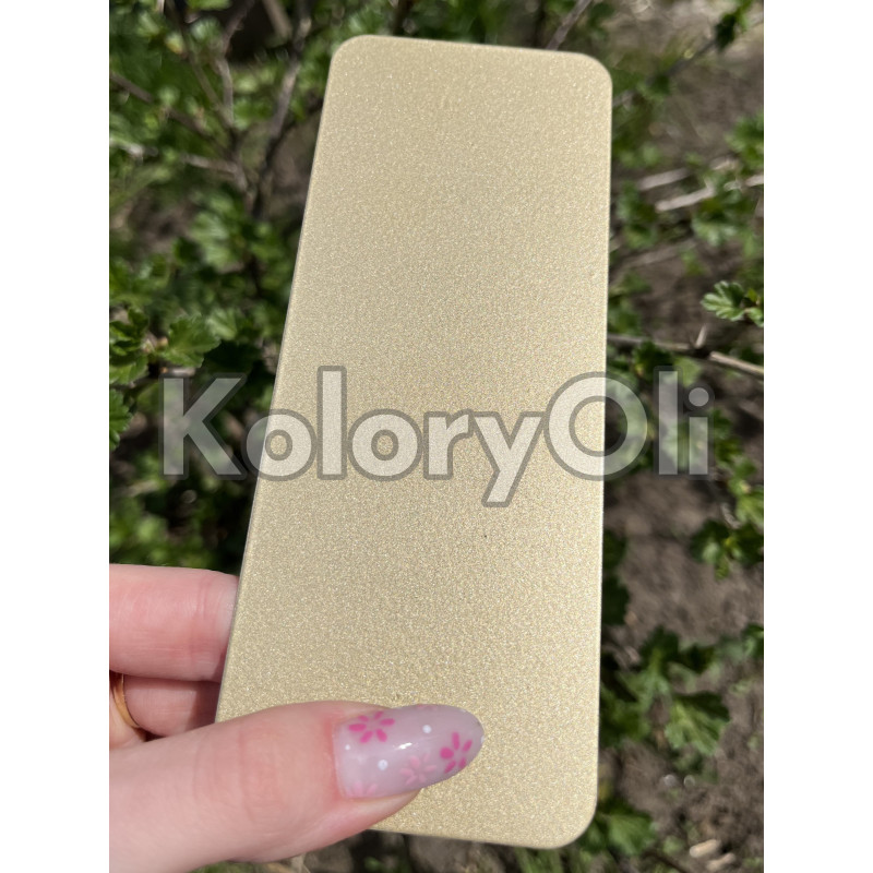 CHAMPAGNE GOLD (SZAMPAŃSKIE ZŁOTO) Farba Proszkowa Poliestrowa Kolor Złoty Szampański Gładki Półmat KO-N0654-produkcja