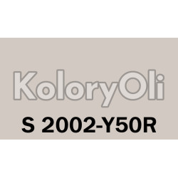 NCS S 2002-Y50R Farba Proszkowa Poliestrowa Gładki SUPERMAT KO-A00764