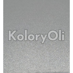 RAL 9006 Srebrny Połyskliwy Metalik Farba Proszkowa Poliestrowa Gładki Połysk KO-A00062 RAL 9006 Srebrny Połyskliwy Metalik Farba Proszkowa Poliestrowa Gładki Połysk KO-A00062