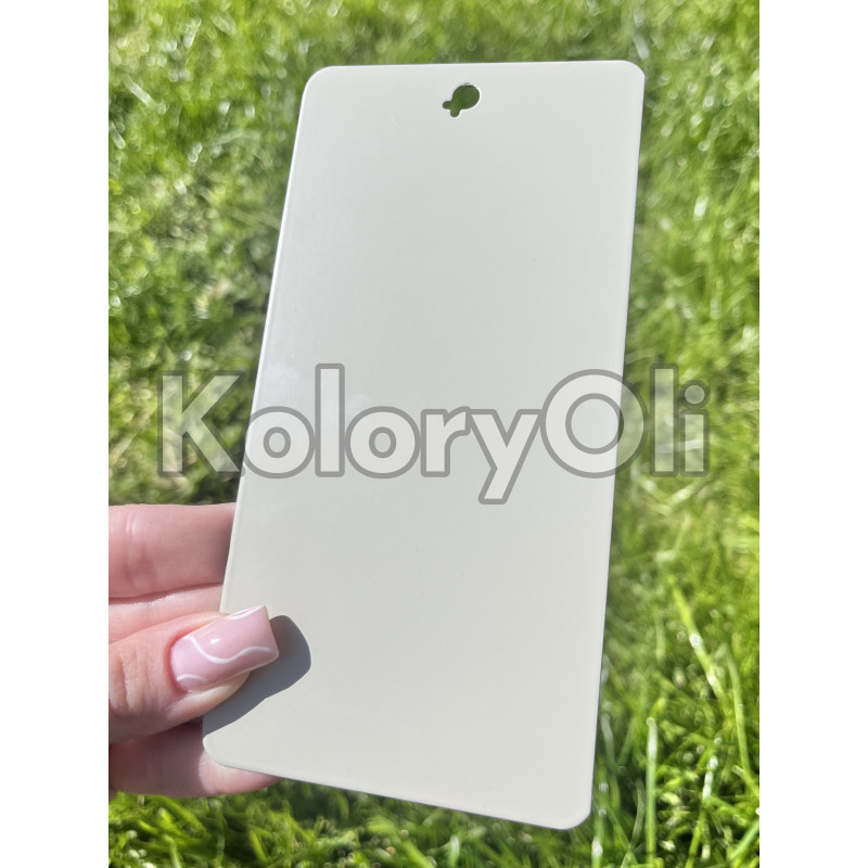 RAL 7032 Farba Proszkowa Poliestrowa Kolor Szary Cementowy Gładki mat KO-PL250 RAL 7032 Farba Proszkowa Poliestrowa Kolor Szary Cementowy Gładki mat KO-PL250