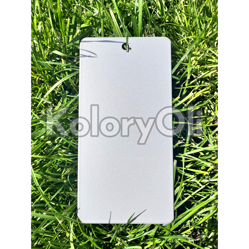 Naturalny Metalik Farba Proszkowa Poliestrowa mat KO-L0031 Naturalny Metalik Farba Proszkowa Poliestrowa mat KO-L0031