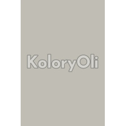 NCS S 2502-Y20R Farba Proszkowa Poliestrowa Gładki Mat KO-A00767 produkcja NCS S 2502-Y20R Farba Proszkowa Poliestrowa Gładki Mat KO-A00767 produkcja