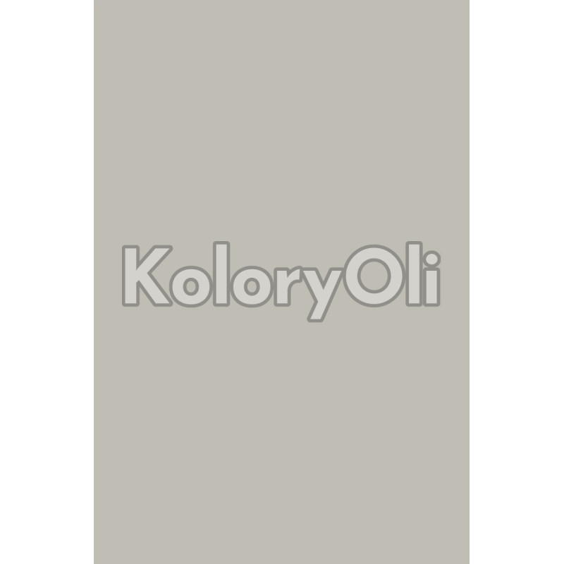 NCS S 2502-Y20R Farba Proszkowa Poliestrowa Gładki Mat KO-A00767 produkcja NCS S 2502-Y20R Farba Proszkowa Poliestrowa Gładki Mat KO-A00767 produkcja