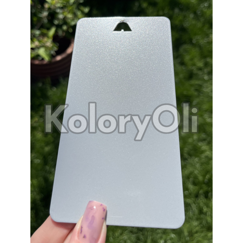 RAL 9006 bondowany QUALICOAT Farba Proszkowa Poliestrowa Kolor Szary Srebrny aluminiowy Gładki Połysk KO-L0123 RAL 9006 bondowany QUALICOAT Farba Proszkowa Poliestrowa Kolor Szary Srebrny aluminiowy Gładki Połysk KO-L0123