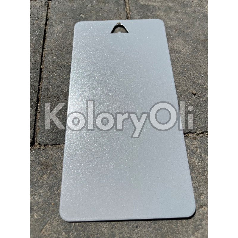RAL 9006 bondowany QUALICOAT Farba Proszkowa Poliestrowa Kolor Szary Srebrny aluminiowy Gładki Połysk KO-L0123 RAL 9006 bondowany QUALICOAT Farba Proszkowa Poliestrowa Kolor Szary Srebrny aluminiowy Gładki Połysk KO-L0123