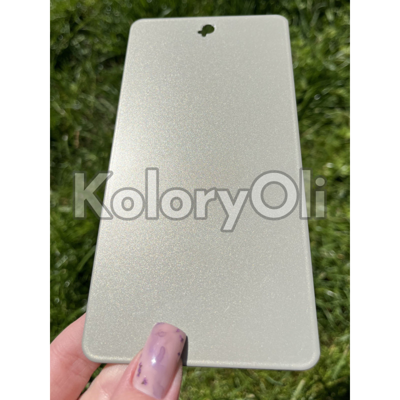 Stainless steel bondowany QUALICOAT 2 Farba Proszkowa Poliestrowa Kolor Stalowy beżowy Gładki Mat KO-L0141 Stainless steel bondowany QUALICOAT 2 Farba Proszkowa Poliestrowa Kolor Stalowy beżowy Gładki Mat KO-L0141