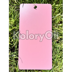 LIGHT PINK QUALICOAT 2 Farba Proszkowa Poliestrowa Kolor różowy Gładki Mat KO-L0135 LIGHT PINK QUALICOAT 2 Farba Proszkowa Poliestrowa Kolor różowy Gładki Mat KO-L0135