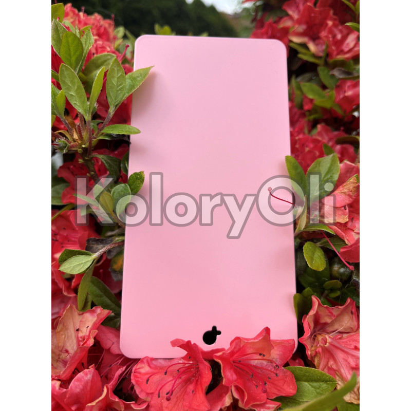 LIGHT PINK QUALICOAT 2 Farba Proszkowa Poliestrowa Kolor różowy Gładki Mat KO-L0135 LIGHT PINK QUALICOAT 2 Farba Proszkowa Poliestrowa Kolor różowy Gładki Mat KO-L0135