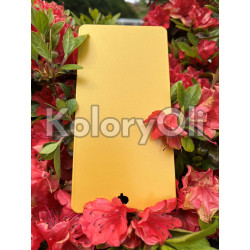 SUNNY GOLD bond QUALICOAT 2 Farba Proszkowa Poliestrowa Kolor złoty Gładki Mat KO-L0137 SUNNY GOLD bond QUALICOAT 2 Farba Proszkowa Poliestrowa Kolor złoty Gładki Mat KO-L0137