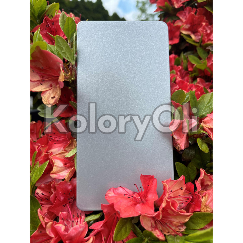 SILVER bond QUALICOAT 2 Farba Proszkowa Poliestrowa Kolor złoty szary Gładki Połysk KO-L0121 SILVER bond QUALICOAT 2 Farba Proszkowa Poliestrowa Kolor złoty szary Gładki Połysk KO-L0121