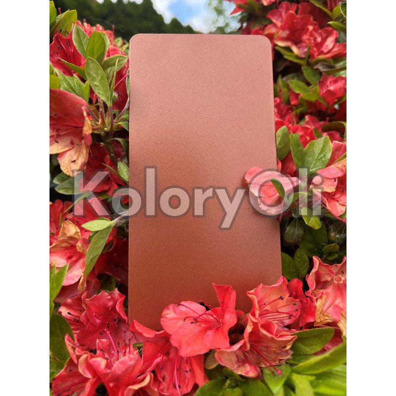 COPPER Bond QUALICOAT 2 Farba Proszkowa Poliestrowa Kolor brązowy Gładki Mat KO-L0139 COPPER Bond QUALICOAT 2 Farba Proszkowa Poliestrowa Kolor brązowy Gładki Mat KO-L0139